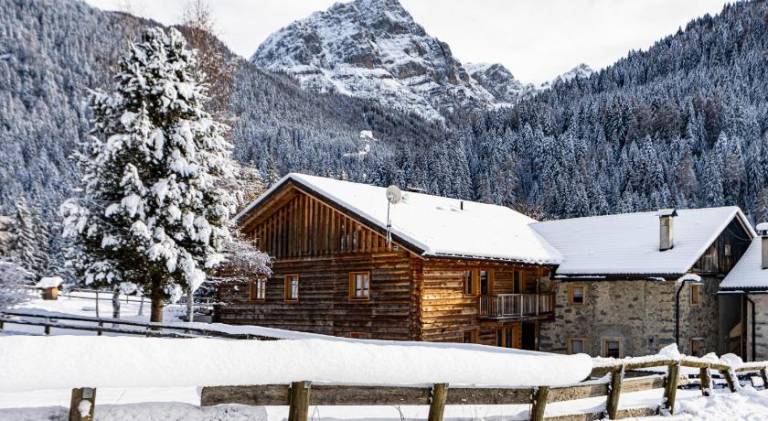 Fully equipped spacious holiday apartment with yard | Next to the ski | Dogs allowed in Pinzolo