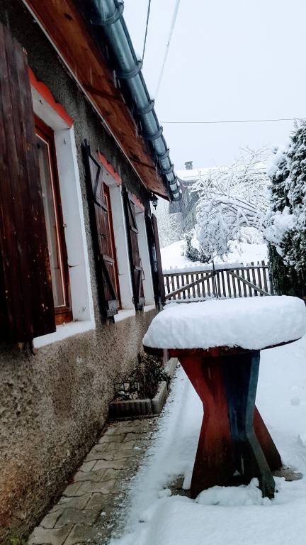 Chalet Les Bossons