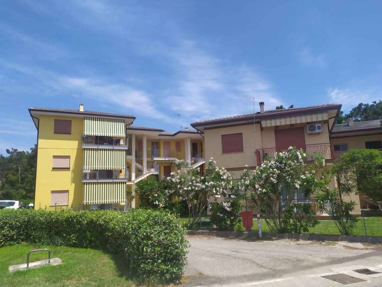 Rental apartment with yard — photo 3