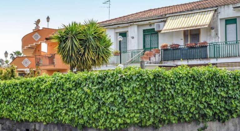 Rental apartment | Close to the beach | Pets are welcome — photo 5