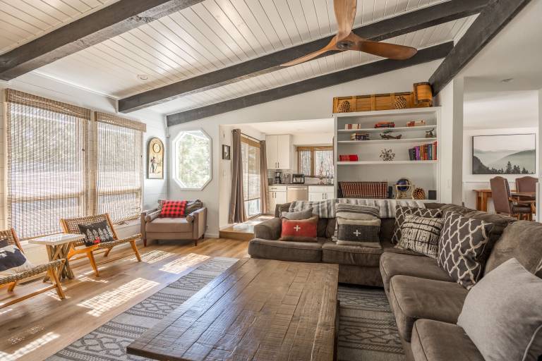 Bear Necessities. New. Modern. Spa. Perfect. Pet Friendly. 3X2 PROMO — photo 3