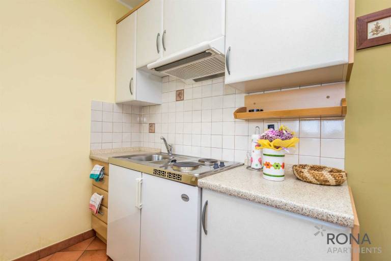 Apartment with terrace — photo 3