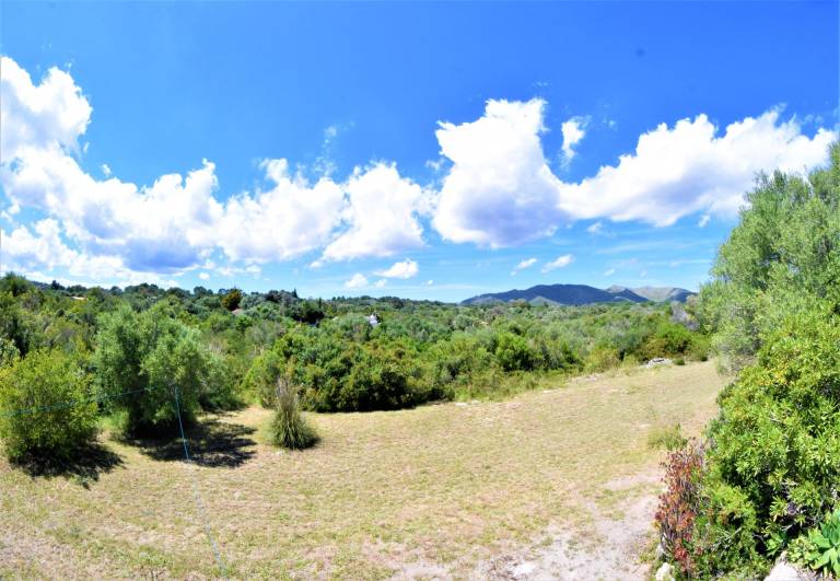 foto46