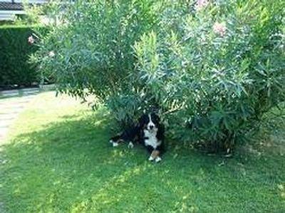 foto28