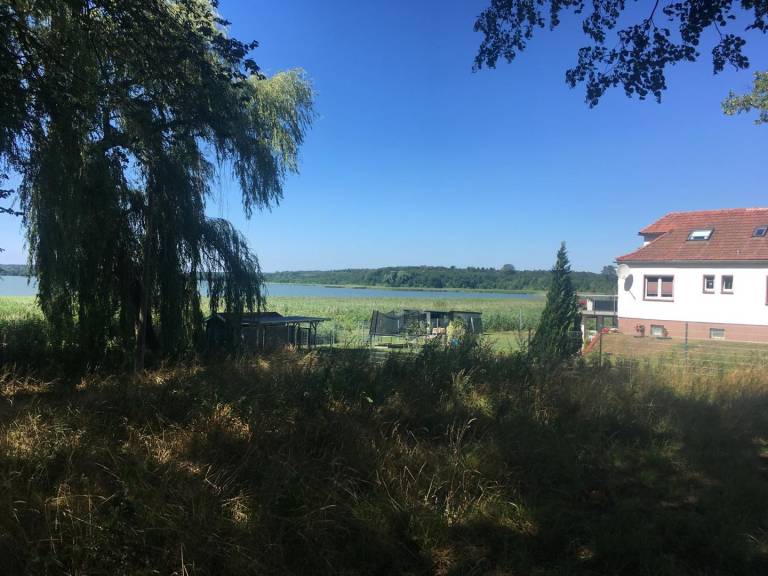 foto40