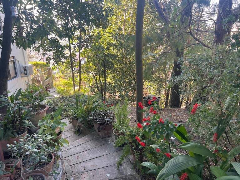 foto47