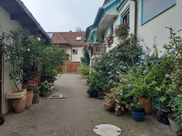 foto22