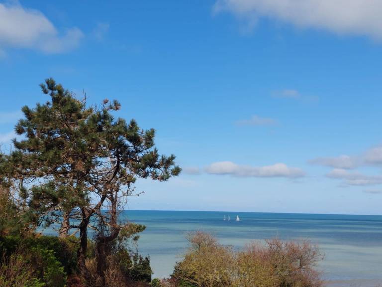 La Villa Mer — photo 3