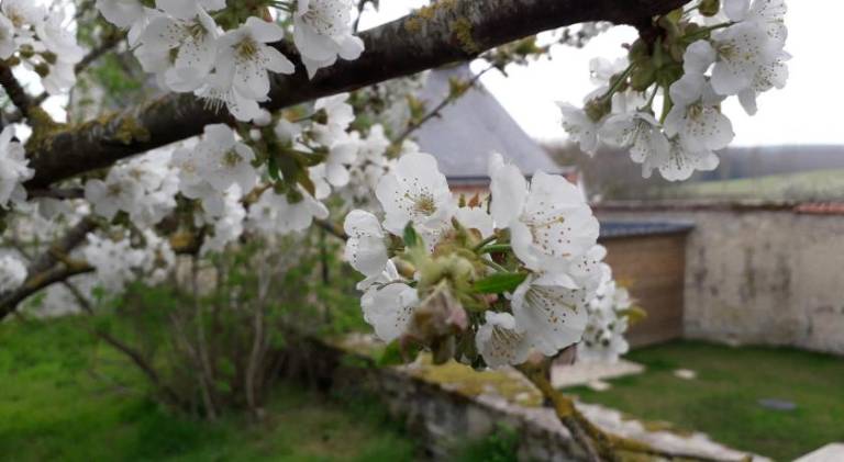 foto10