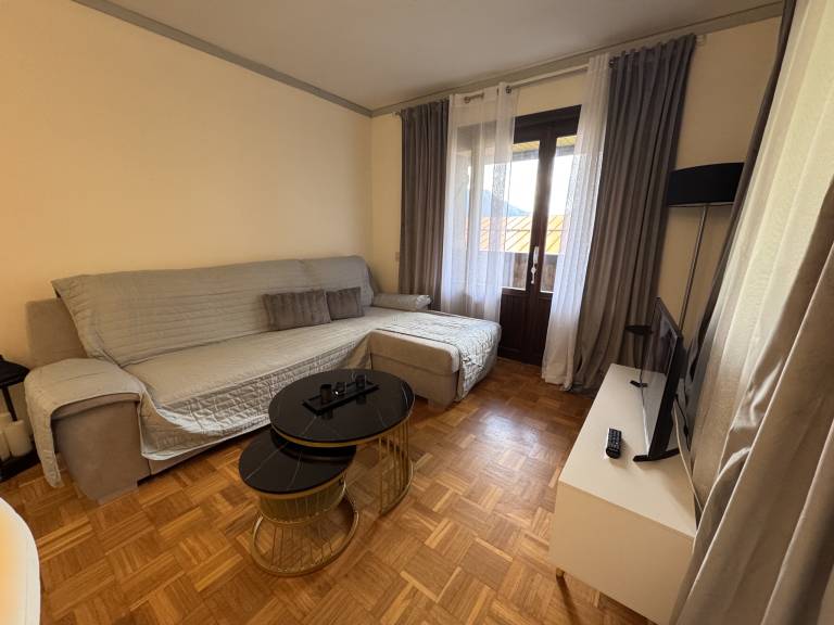 Nice holiday apartment with patio | Next to the ski | Dogs allowed — photo 3
