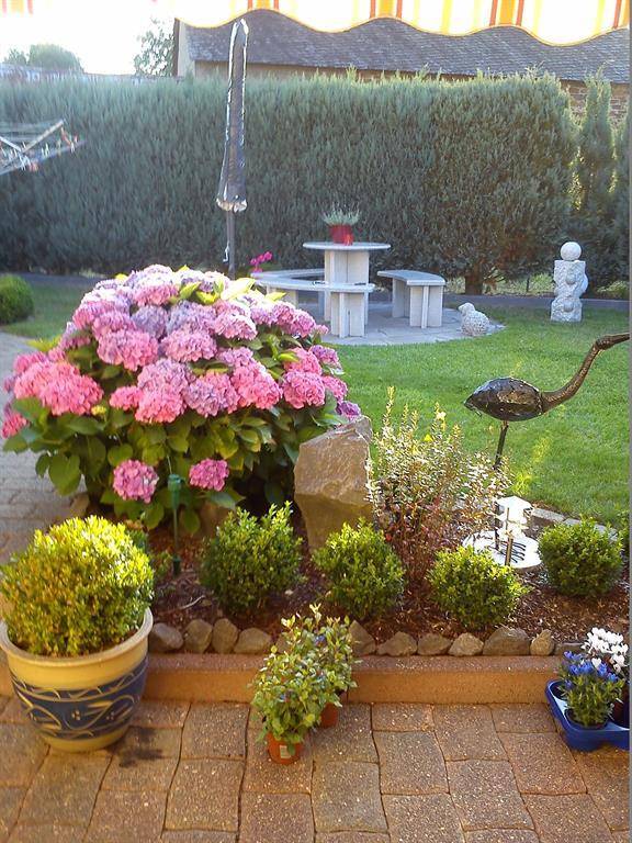 foto34