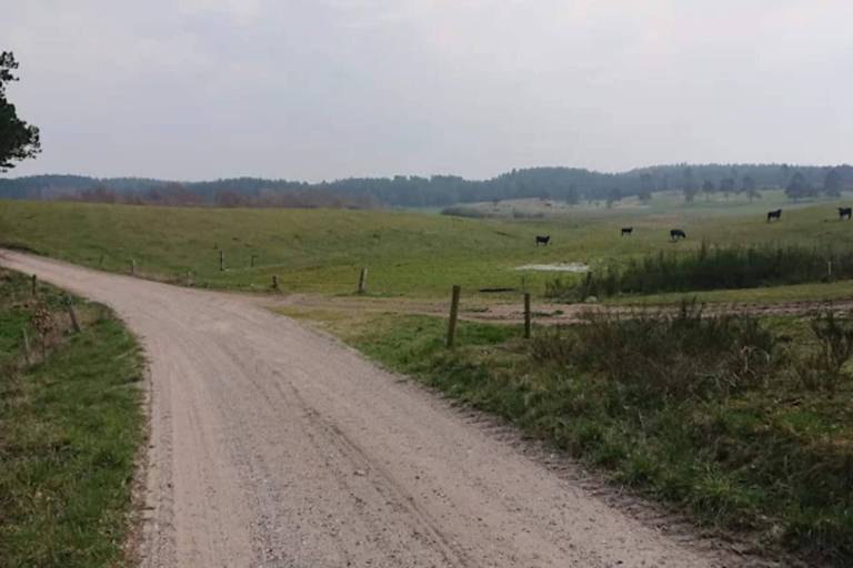 foto15