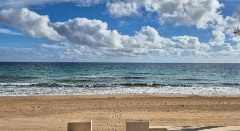 Wonderful rental apartment with terrace | Next to the beach | Dogs allowed — photo 3