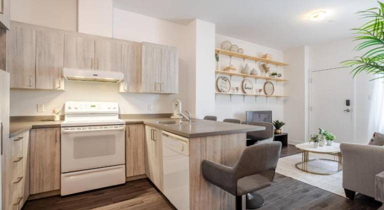 Large Suite in Downtown Montreal — photo 2