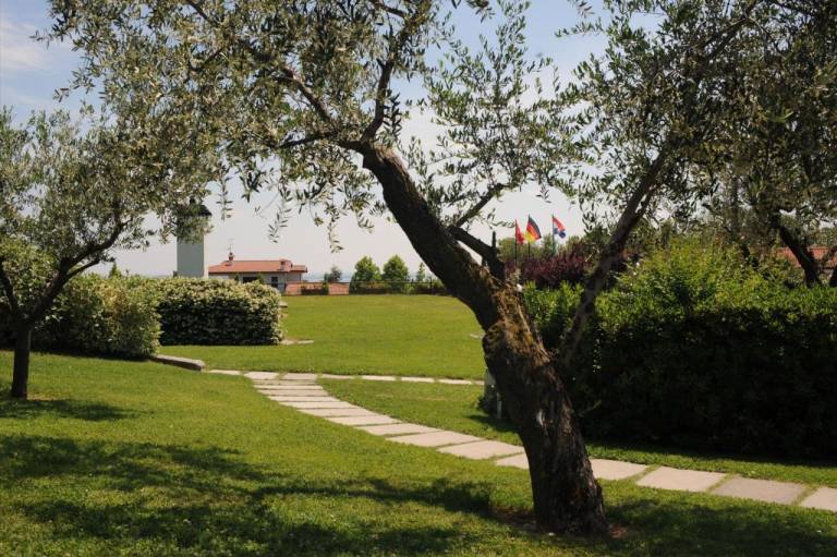 foto42