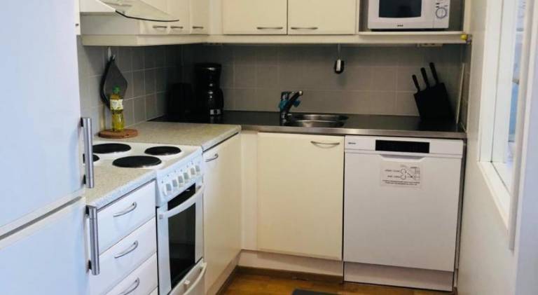 Apartment with sauna — photo 4