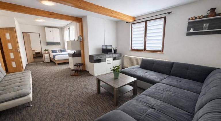 Lovely serviced apartment with garden & terrace | Perfect for remote work | Pet-friendly in Plzen