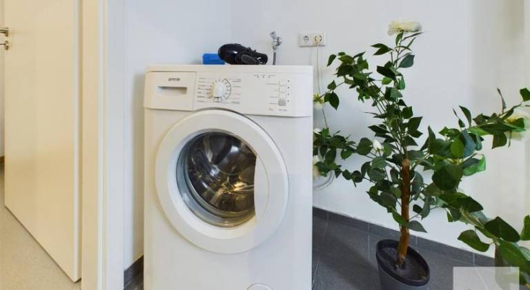 Holiday apartment | Pet-friendly — photo 5