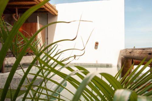 Casa Porto de Pedras
