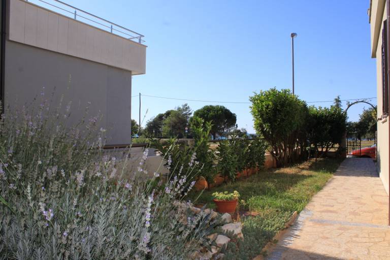 Apartma Veliki Brijun