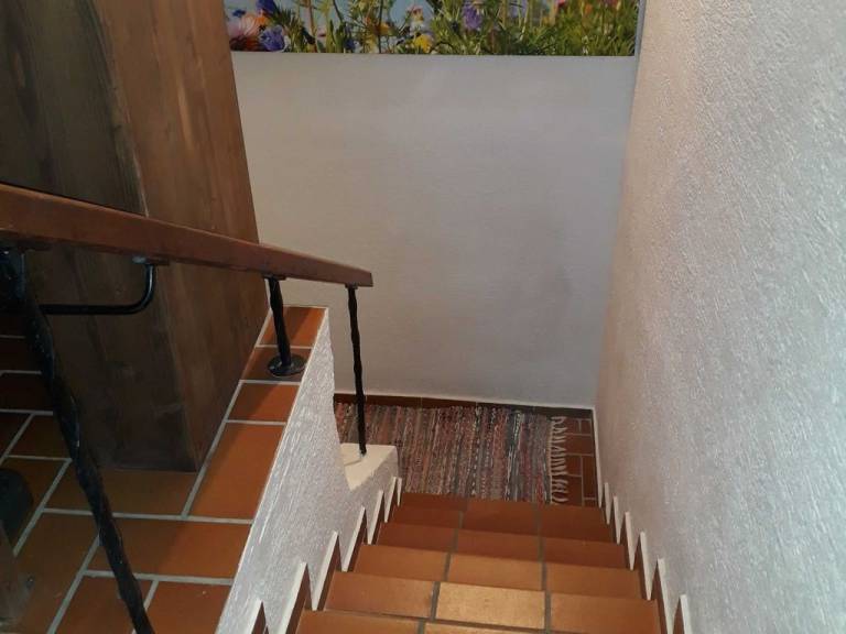 foto8