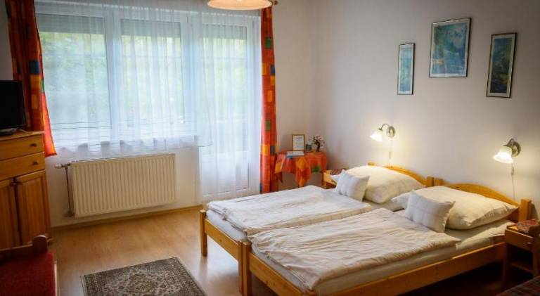 Apartment with 1 room for 3 persons in Sarvar