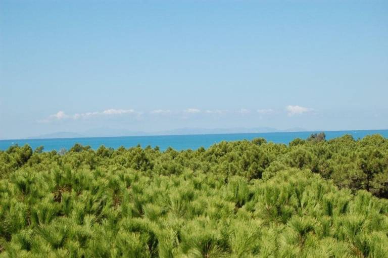 Appartamento Principina A Mare