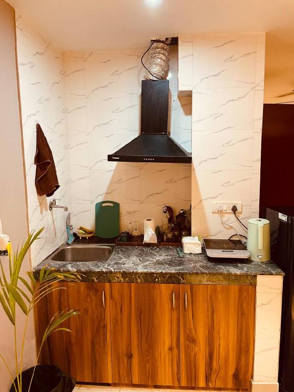 Vacation home | Close to Connaught Place | Pets allowed — photo 4