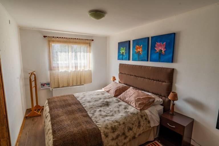 Hostel Pucón