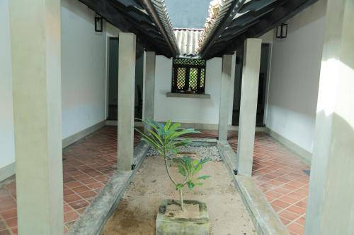 foto17