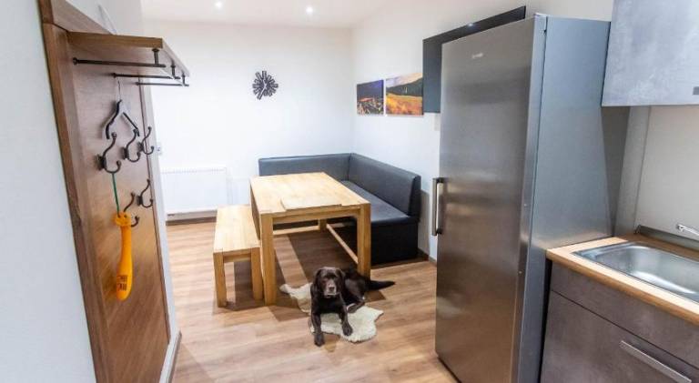 Serviced apartment | Dogs allowed — photo 5