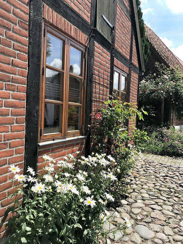 Wonderful vacation home with barbeque & terrace | Pets are welcome — photo 3