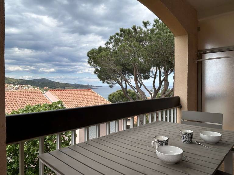 Apartment with 2 rooms for 5 persons in Collioure