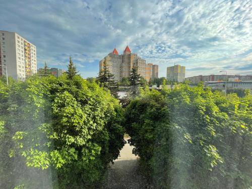 Appartement Praag 12