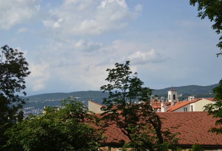foto19