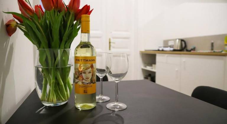 Rental apartment | Next to Hungarian Parliament Building — photo 4