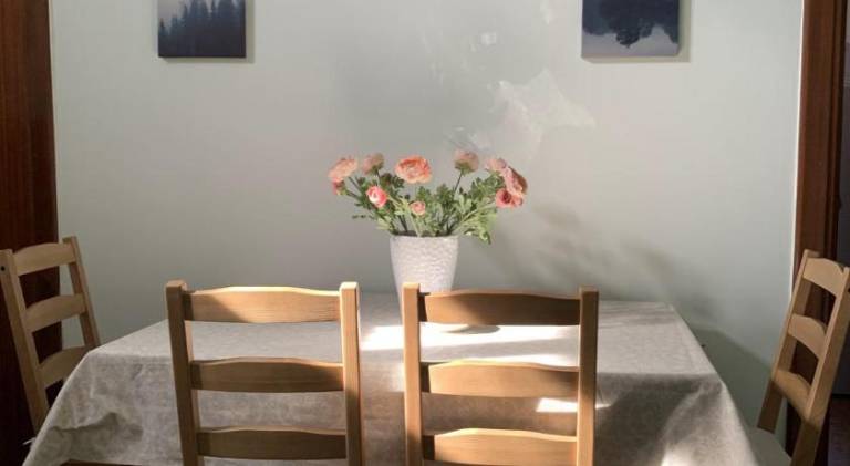 Pleasant rental apartment | Pets are welcome — photo 4