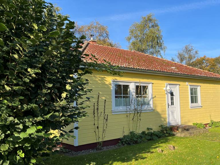 foto21