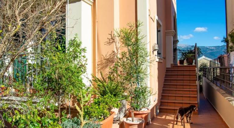 Rental apartment with garden, terrace & barbeque — photo 5