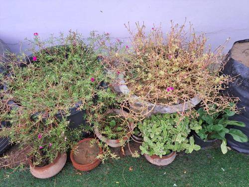 foto13