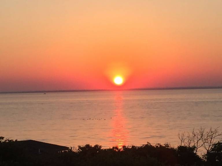 House Cherry Grove