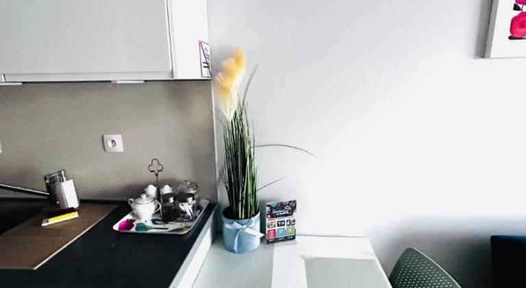 Charming holiday apartment | Dogs allowed — photo 4