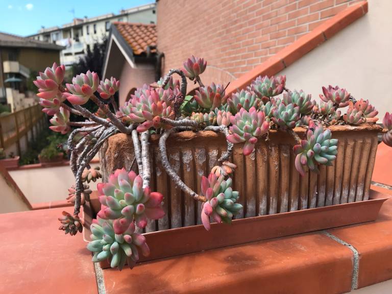 foto5