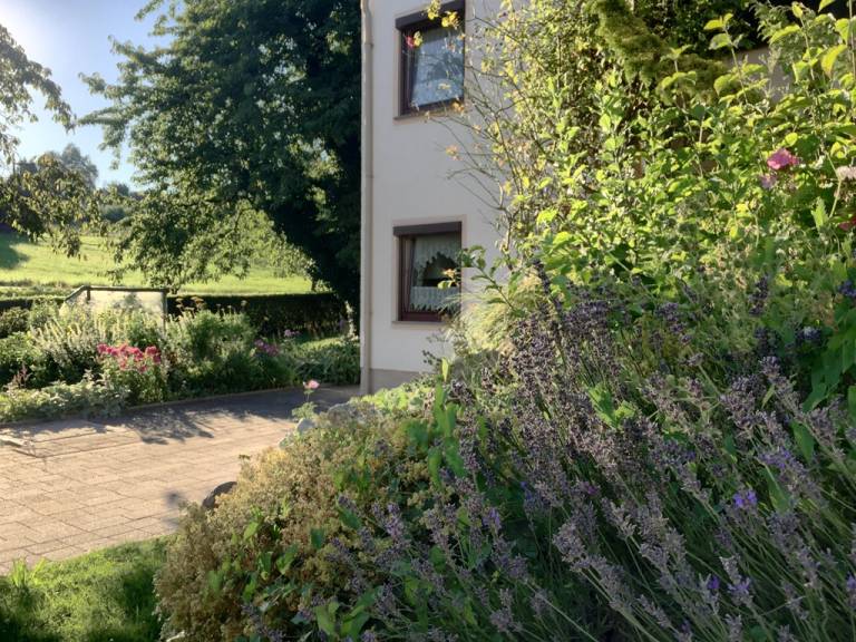 foto20