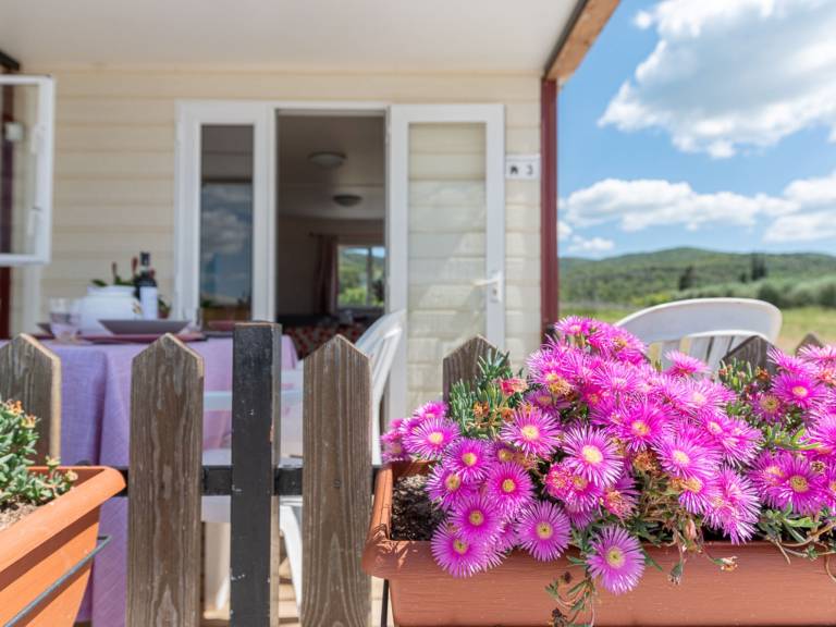 House with pool, garden & patio | Pets are welcome — photo 5
