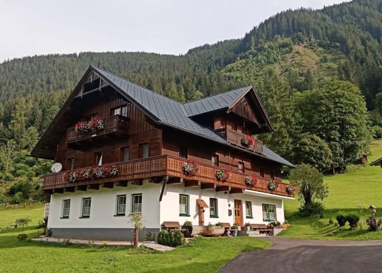foto1