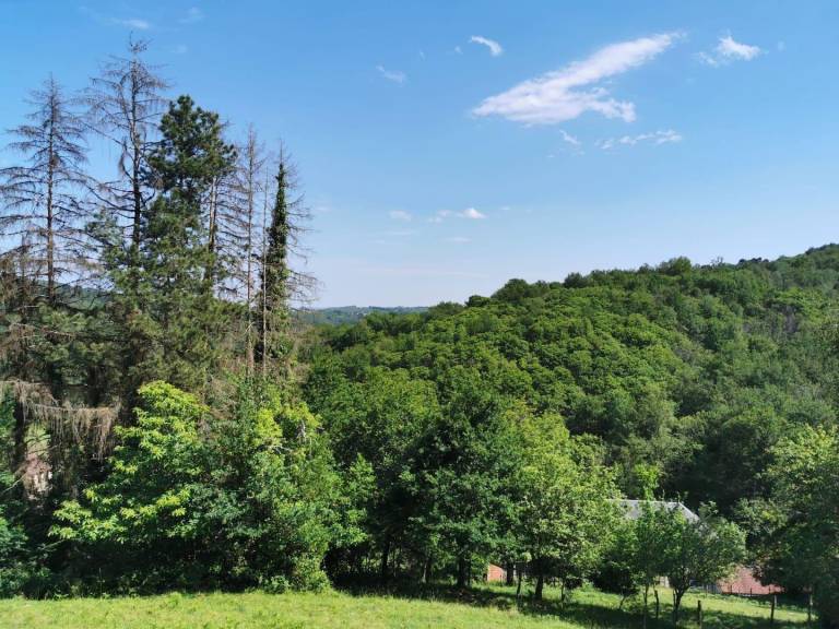 Gîtes de France - La Belle Vue — photo 3