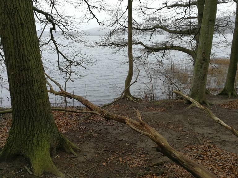 foto17
