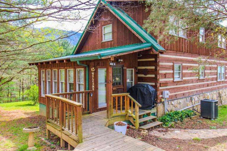 Cabin Townsend
