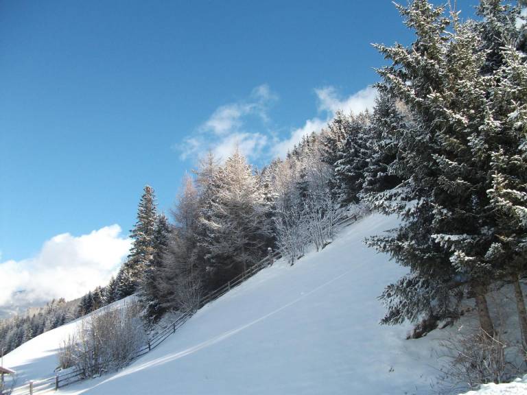 foto13